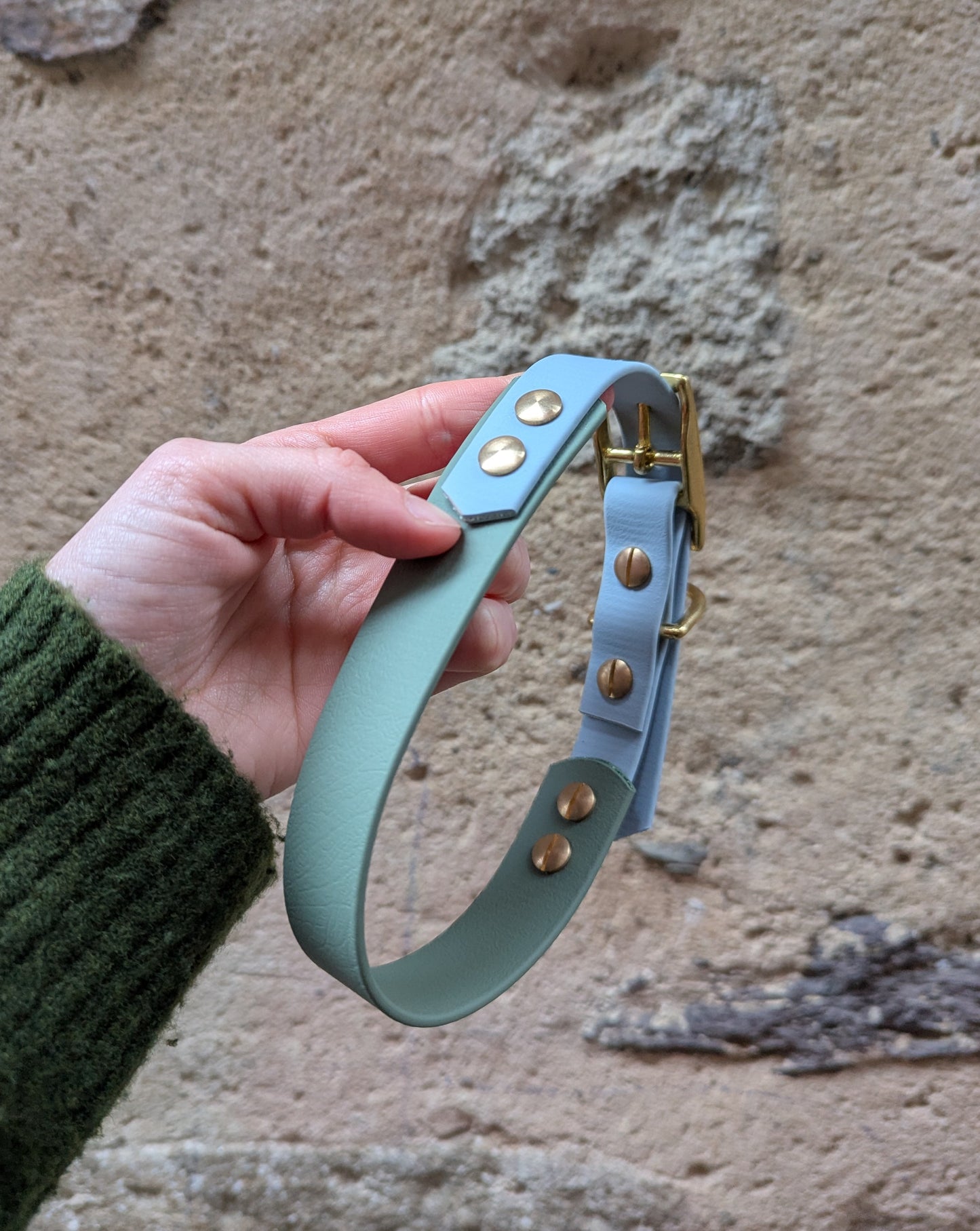 Collier Biothane - Vert sauge & Bleu ciel