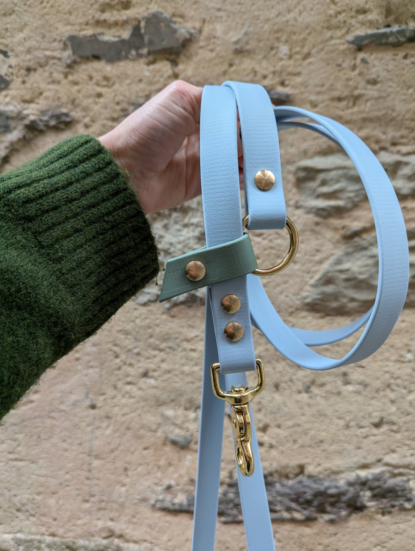 Laisse kit main libre - Bleu ciel & Vert sauge 2,5m en Biothane