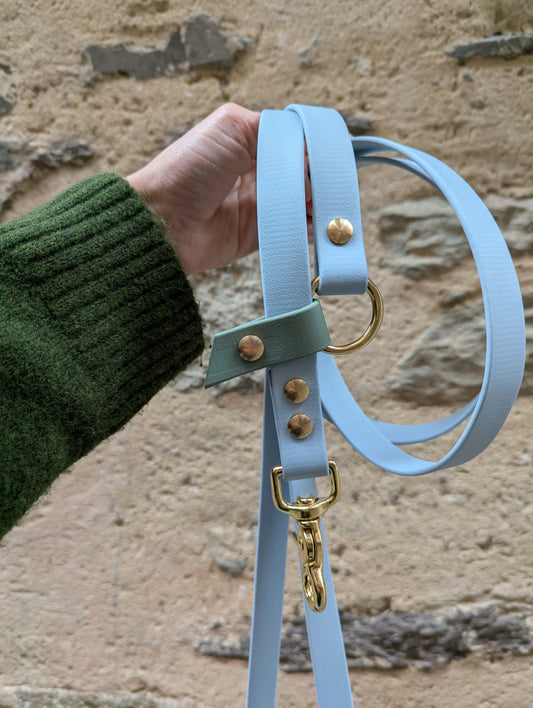 Laisse kit main libre - Bleu ciel & Vert sauge 2,5m en Biothane