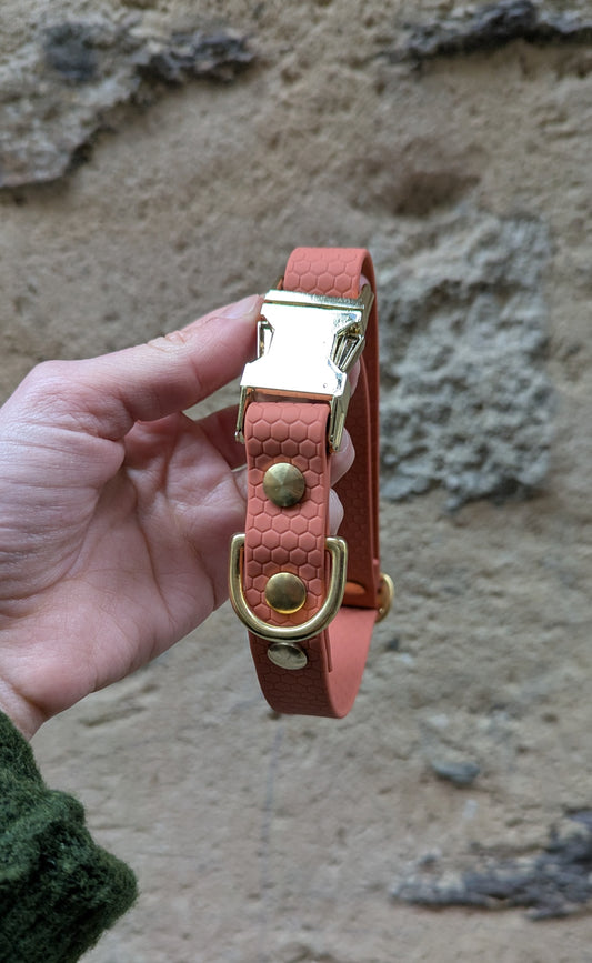 Collier Waterproof en Hexa 20mm pour chien