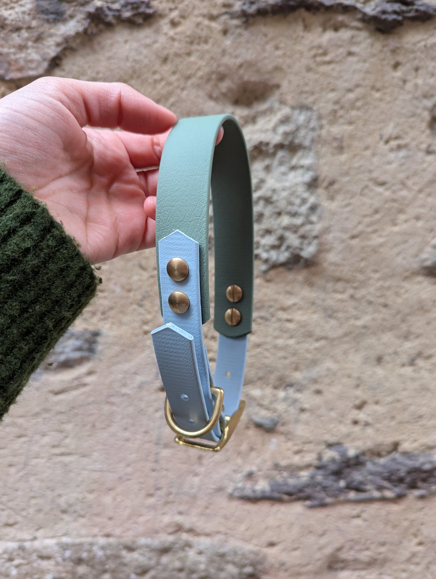 Collier Biothane - Vert sauge & Bleu ciel